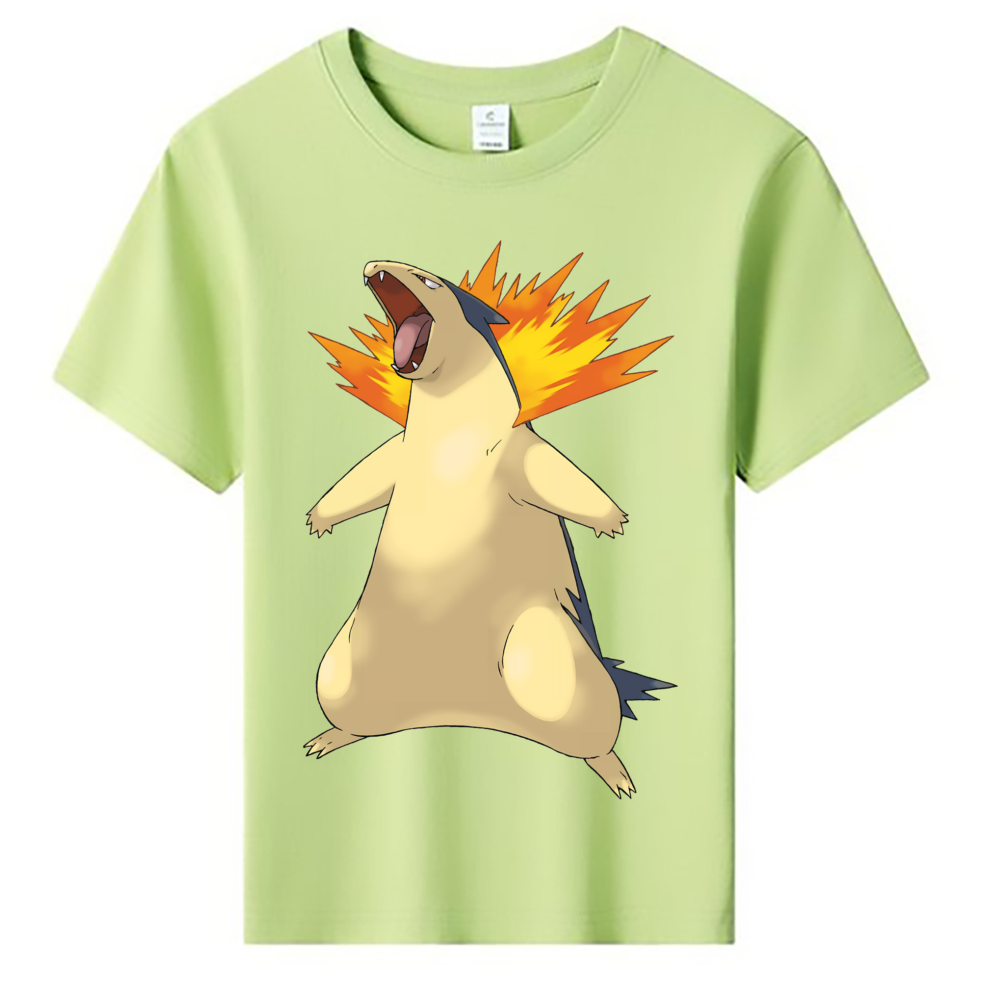 （画像用） ポケットモンスター Pokémon 綿100％キッズTシャツ（フロントプリント）